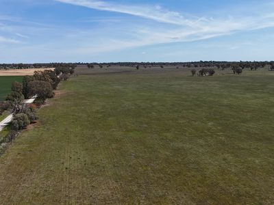3166 Back Trundle Road, Parkes