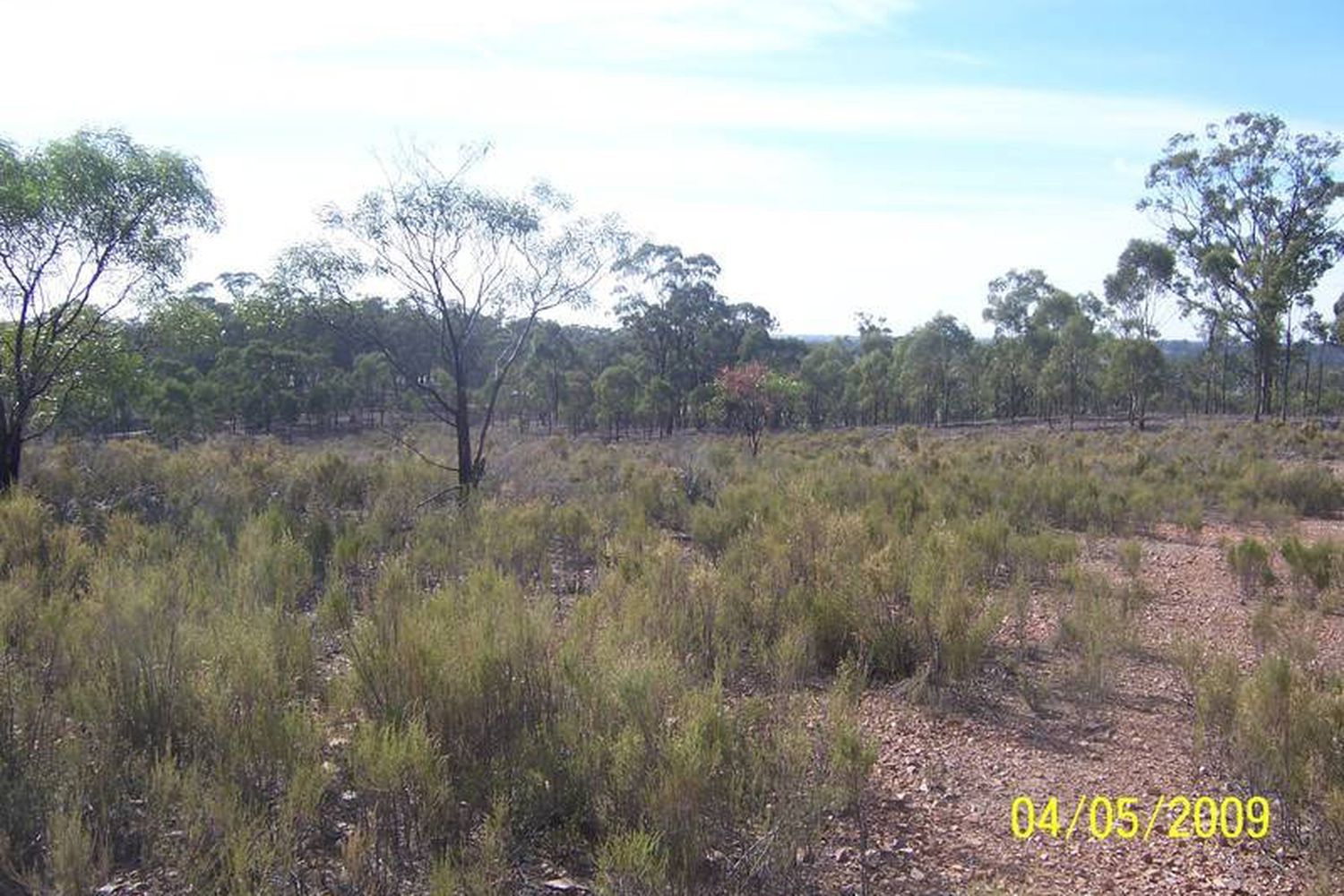 440 Willows Road, Murchison