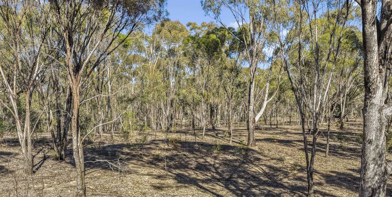 1622 Dookie-Violet Town Road, Koonda