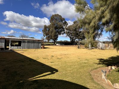 Bradview / 1009 Warrumbungles Way, Coolah