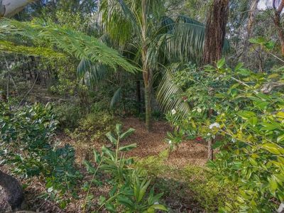 45 Shirlow Avenue, Faulconbridge