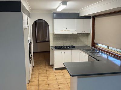 59 Gabriella Avenue, Cecil Hills