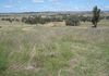 Lot 101, 2187 Euchareena Road, Molong