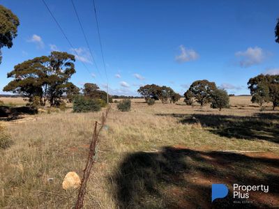 Lot 1, 4000 Korong Vale-Wychitella Road, Woolshed Flat
