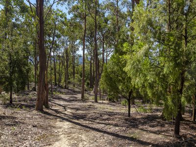 49 Duggans Road, Cradoc