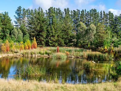54 Turners Road, Cradoc