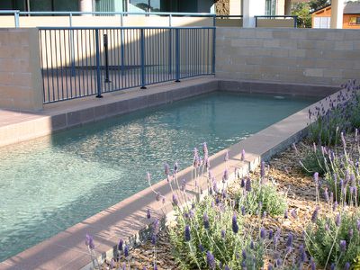 302 / 21-25 Wallis Street, Forster