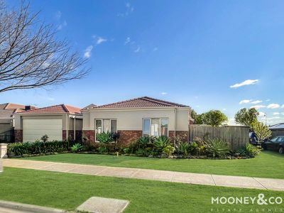 40 Phoenix Avenue, Cranbourne