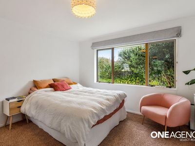 41 Belvedere Avenue, Waikanae