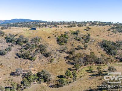 Lot 12, 212 Mole Station Road, Tenterfield