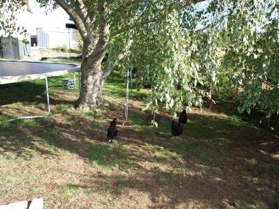 12 Fords Road, Geeveston