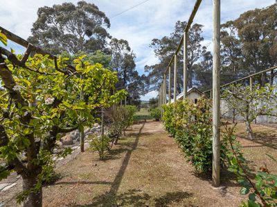 738 Feeneys Lane, Baynton