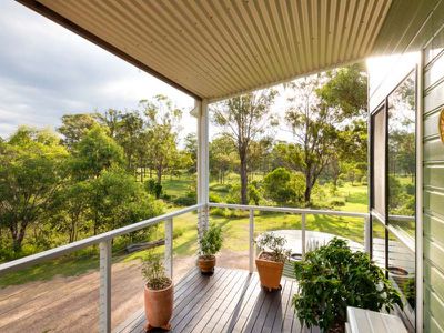 Blackbutt