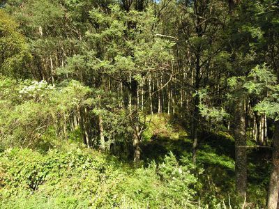 Lot 1 Huon Highway, Surges Bay