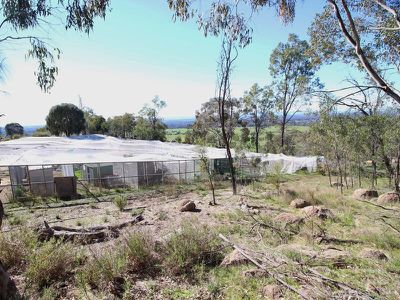 253 Warby Tower Road, Killawarra