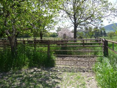 Tallangatta Creek Road, Tallangatta Valley