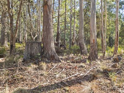 71 Lake View Road, Lake Leake