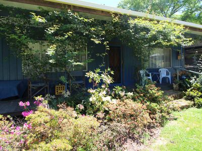 15 Nash Street, Jamieson