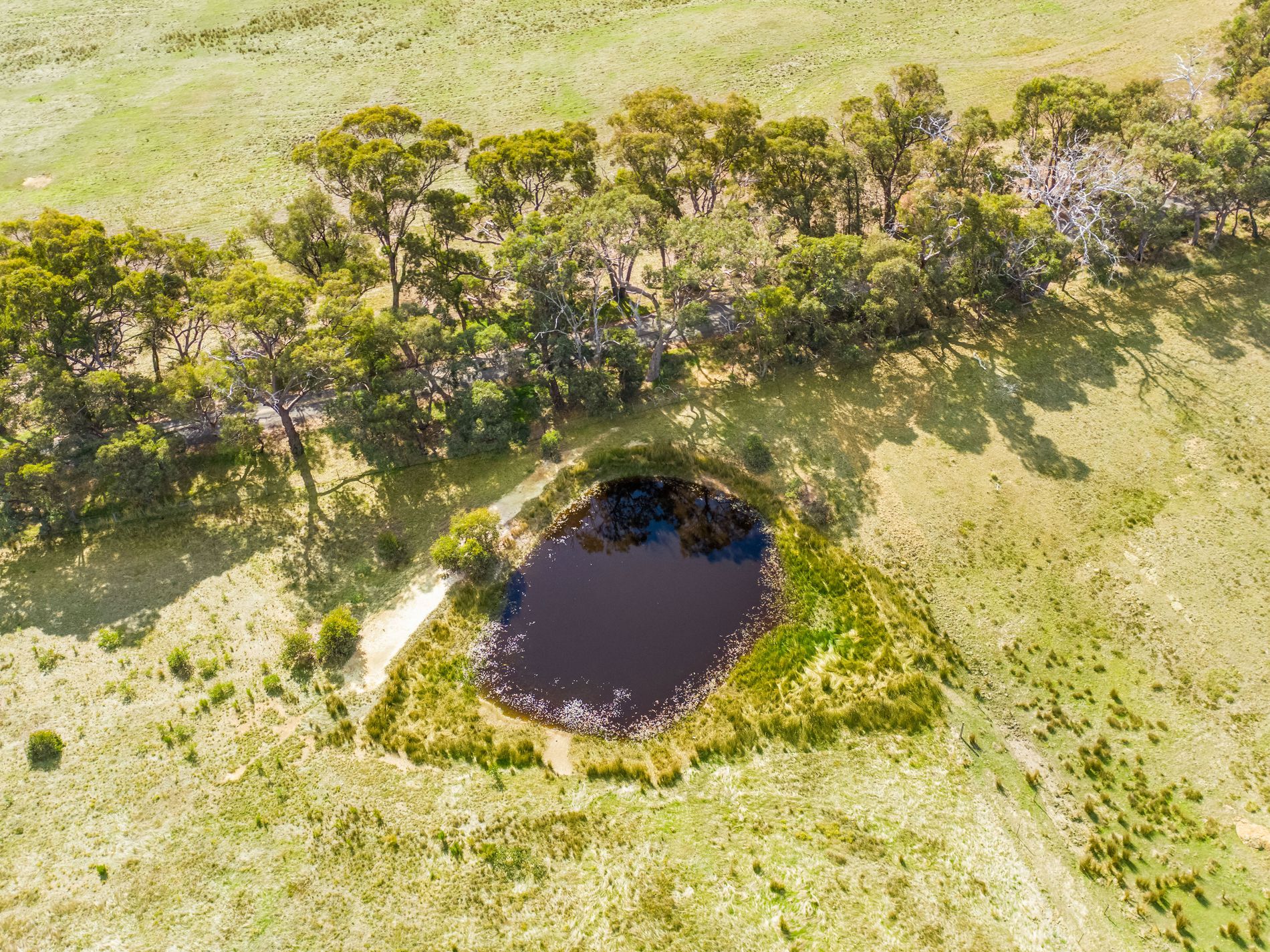 Lot 2, 211 Drummonds Lane, Derrinal