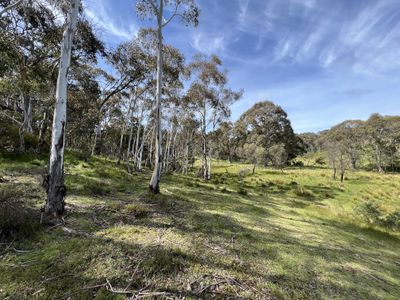 Lot 143, 6875 Taralga Road, Curraweela