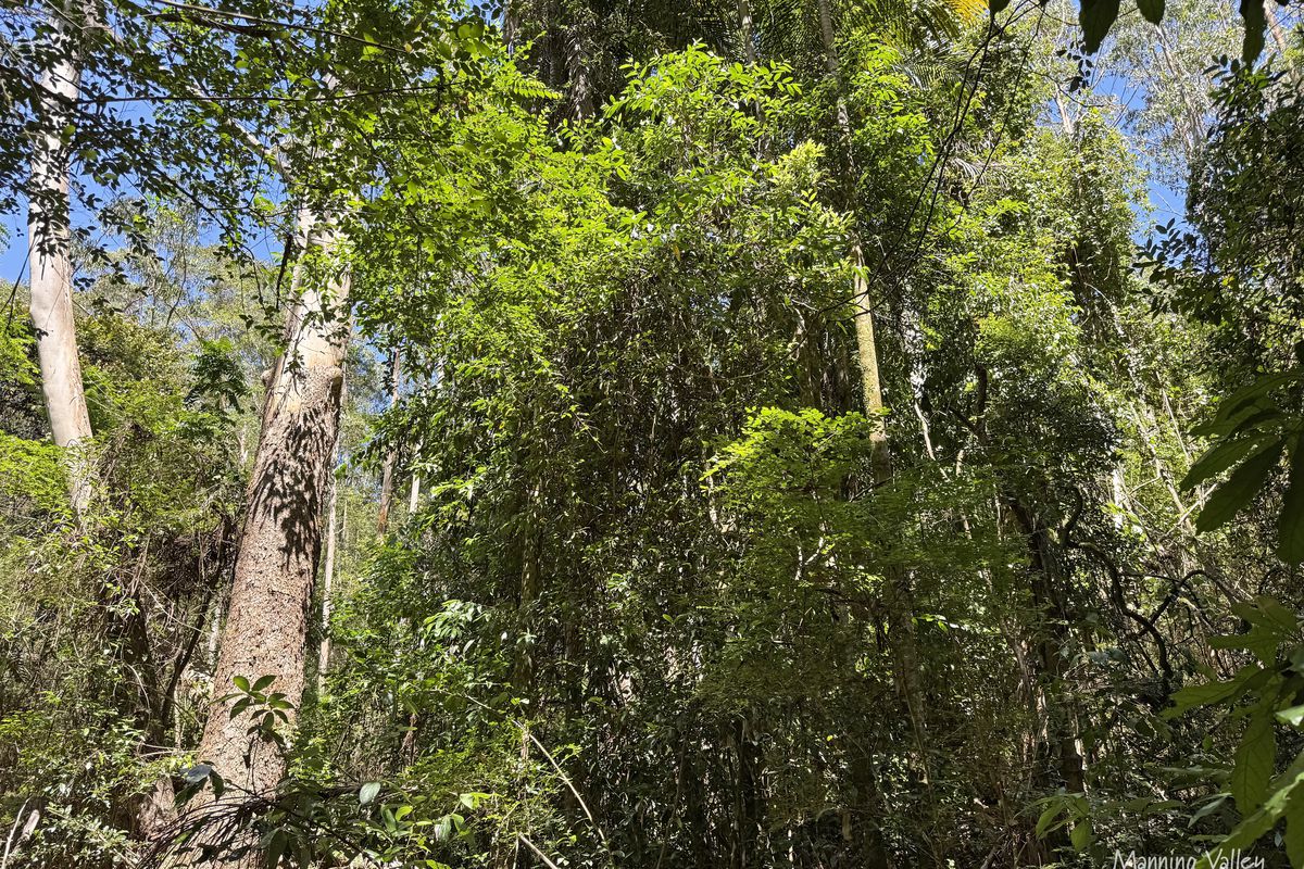 90 Tallowood Lane, Hannam Vale