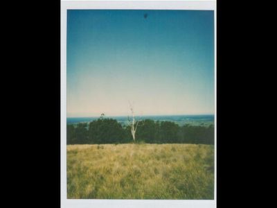 Lot 3 Lot 3 Graydons Pointer Road, Milton