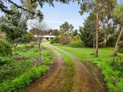 77 Williams Road, Millicent