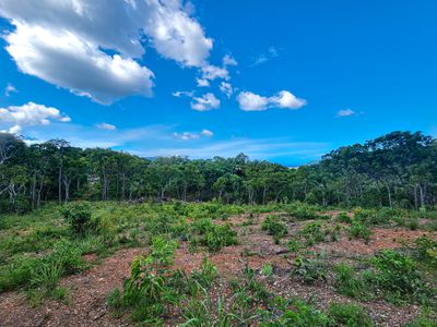 24 Harry Heaths Close, Cooktown