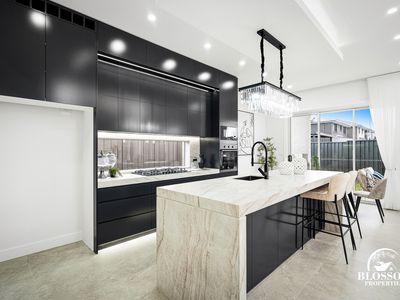 61 Feathertail Avenue, Marsden Park