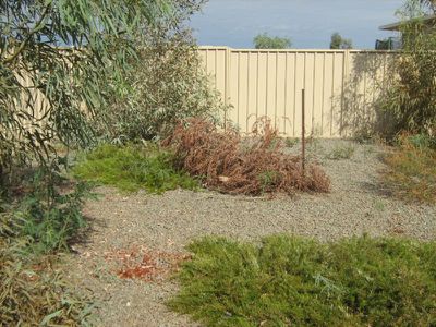 43 Daniels Drive, Newman