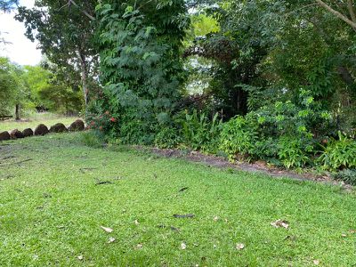 250 Peacock Road, Darwin River