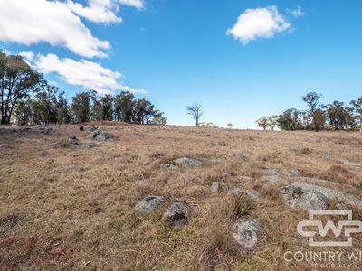 Lot 29, 41 Gilligans Lane, Torrington