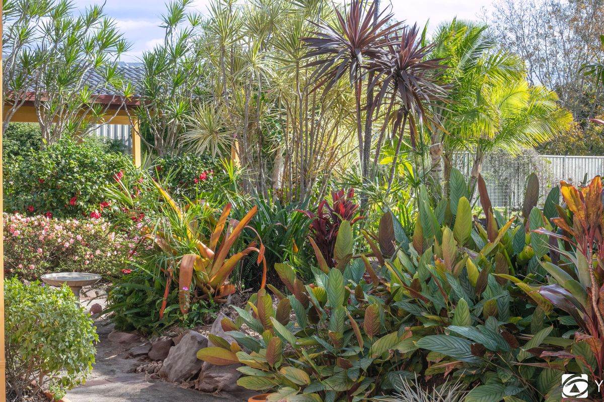 54 Clarence Street, Brushgrove