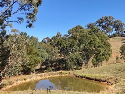 163 Kiernans Road, Bonnie Doon