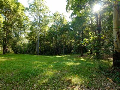 486 Davis Road, Jiggi