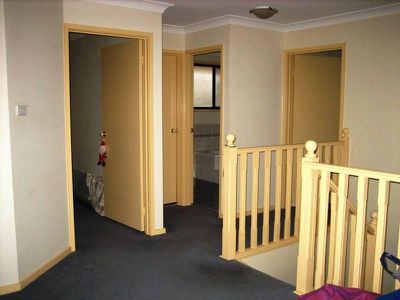 Mount Warrigal