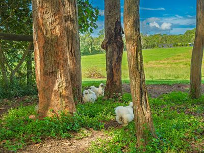 40 McGinn Road, Gheerulla