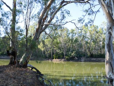 Riverview Drive, Barham