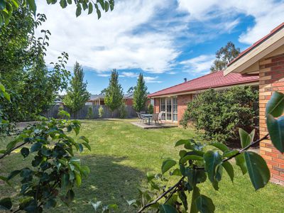 12 Vista Close, Gisborne