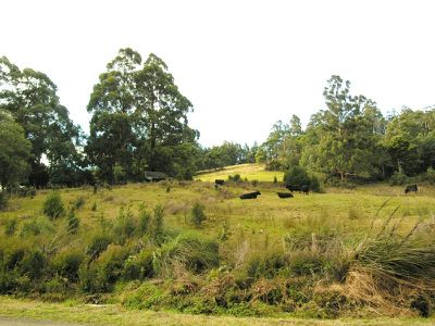Four Foot Road, Geeveston