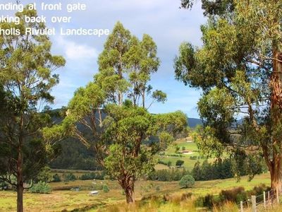 End Steeles Road, Nicholls Rivulet