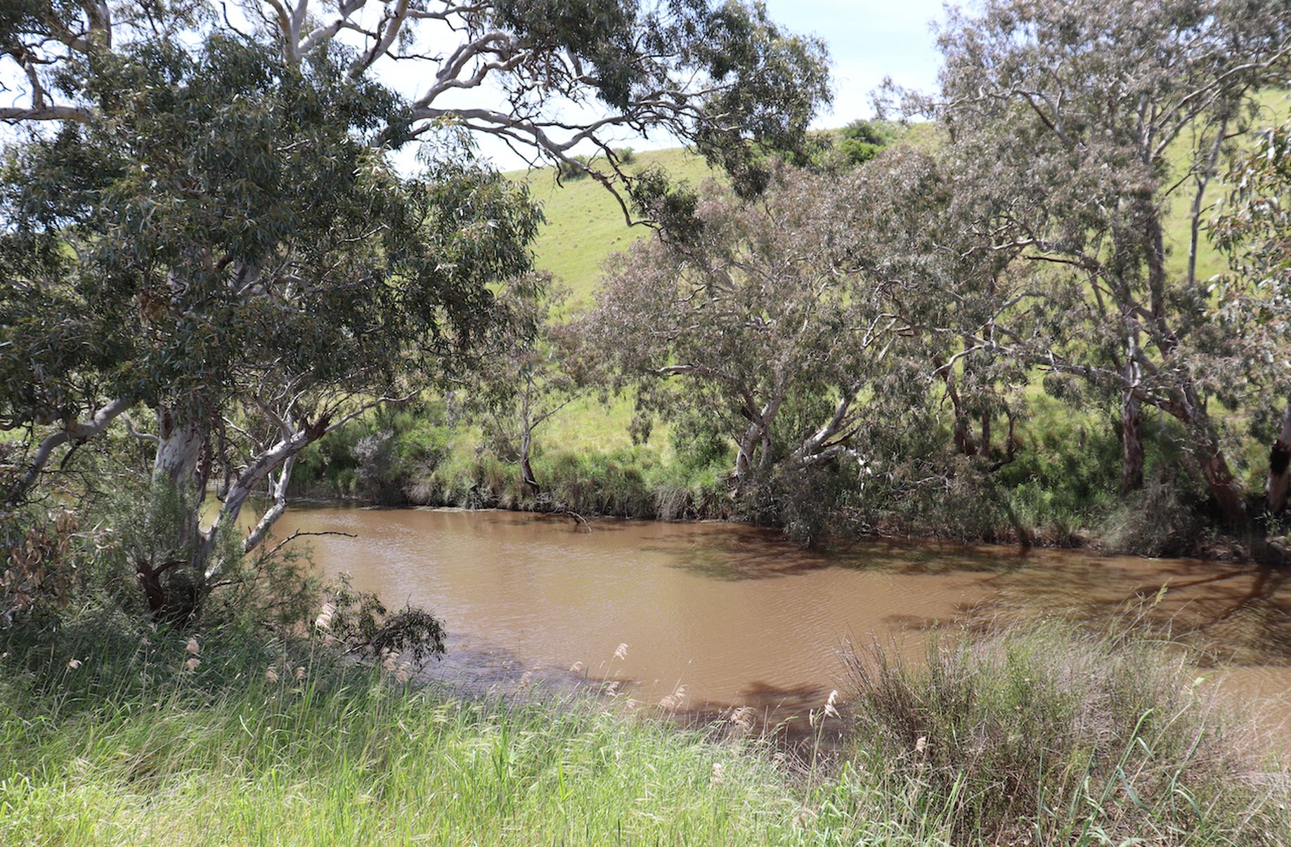 88 VOLUM ROAD, Gnarwarre