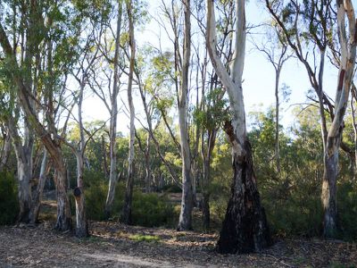 Riverview Drive, Barham