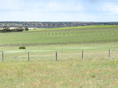 65 Magpie Crescent, Mannum