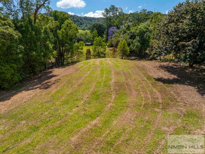 447 Terania Creek Road, Terania Creek