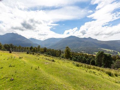 230 Fyfes Road, Mountain River