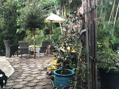 240 Crabbes Creek Road, Crabbes Creek