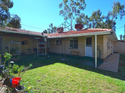 2 Alderdice Place, Lamington, Kalgoorlie