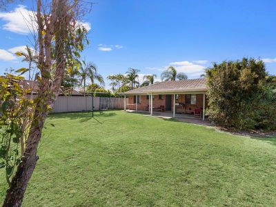63 Sunbird , Parrearra