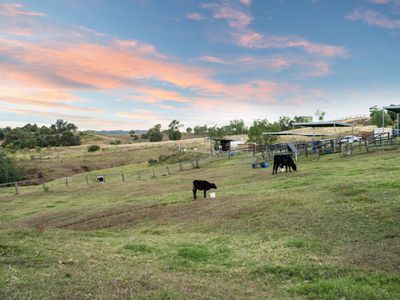 261 TALLEGALLA TWO TREE HILL ROAD, Marburg